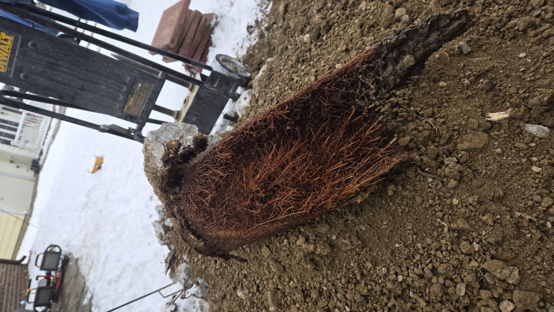 sewer line root infiltration repair 