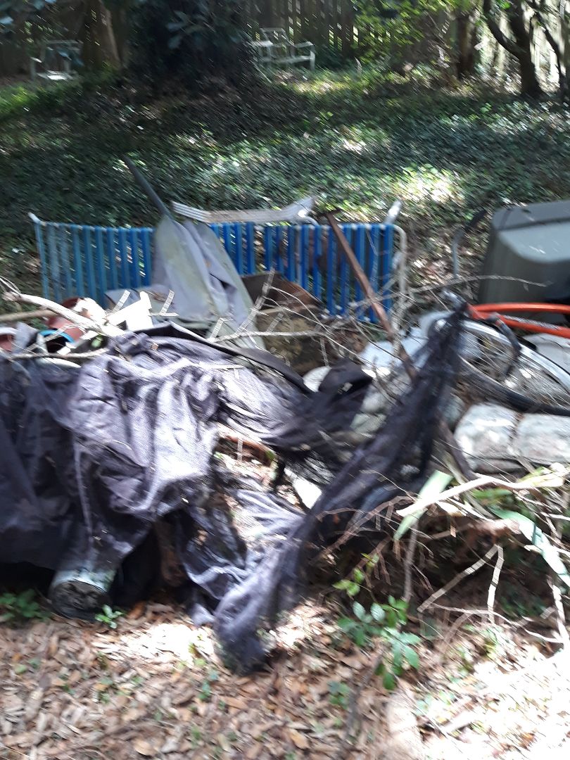 Clean up backyard Clean up backyard