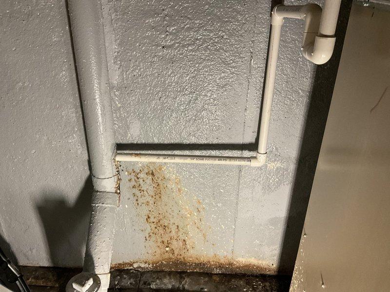 Repaired leaking pipe connection at furnace in basement, resolving significant rust and water damage evident on surrounding concrete wall. Replaced deteriorated pipe section and sealed junction to prevent further moisture issues in the utility area.