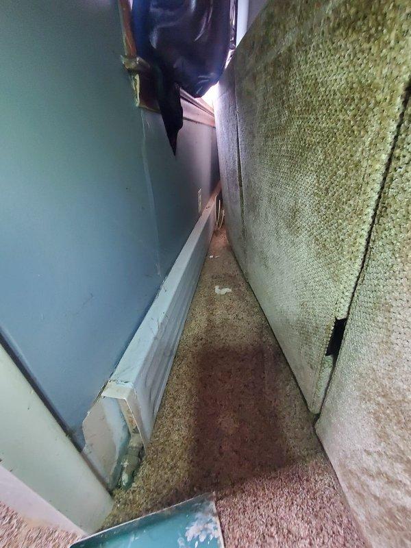 Performed warranty diagnostic on 3-year-old boiler that was not turning on. Inspected system components and found evidence of water damage to surrounding baseboards and carpeting. Examination of plumbing connections revealed cobwebs and potential issues at pipe junctions in the utility space.