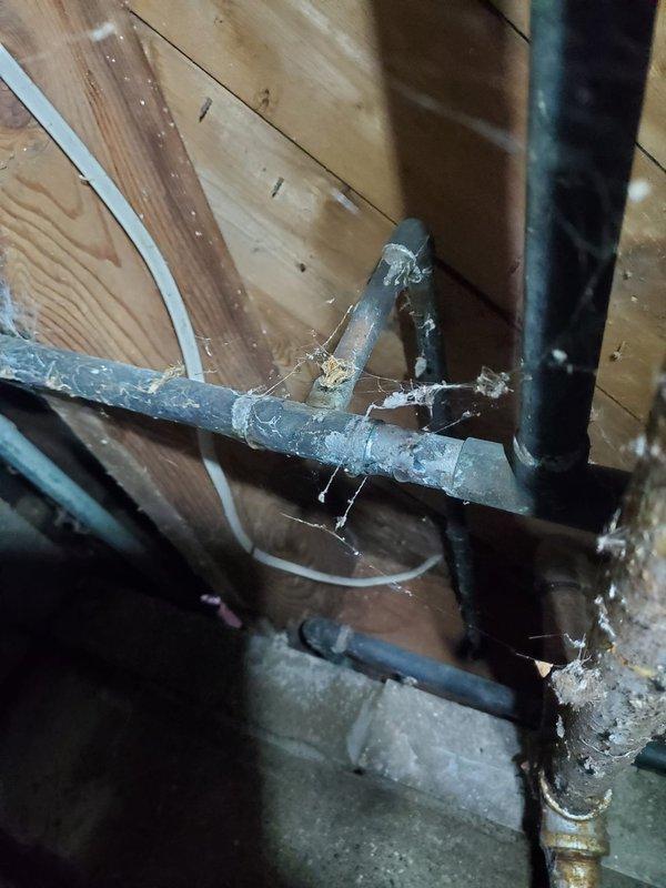 Performed warranty diagnostic on 3-year-old boiler that was not turning on. Inspected system components and found evidence of water damage to surrounding baseboards and carpeting. Examination of plumbing connections revealed cobwebs and potential issues at pipe junctions in the utility space.