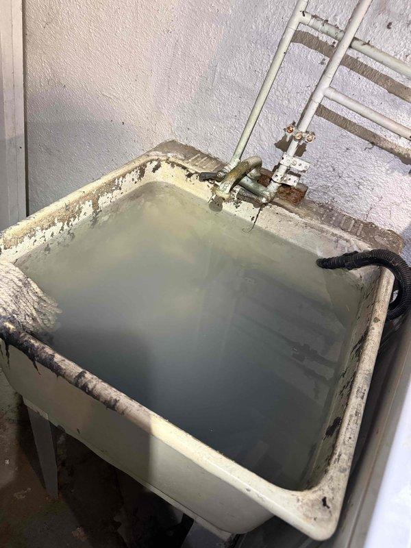 Responded to no heat call for 10+ year old Goodman furnace located in basement. Diagnosed issue with condensate drainage system; found utility sink backing up with murky water and condensate drain tube submerged, preventing proper furnace operation. Cleared drain blockage, repositioned condensate line, and verified proper burner ignition with strong blue flame pattern across heat exchanger. System now operating within normal parameters.