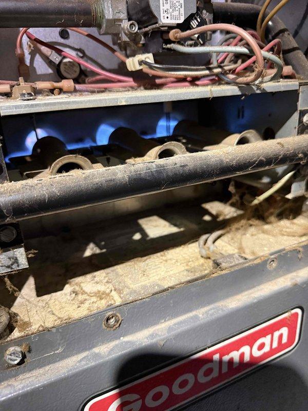 Responded to no heat call for 10+ year old Goodman furnace located in basement. Diagnosed issue with condensate drainage system; found utility sink backing up with murky water and condensate drain tube submerged, preventing proper furnace operation. Cleared drain blockage, repositioned condensate line, and verified proper burner ignition with strong blue flame pattern across heat exchanger. System now operating within normal parameters.