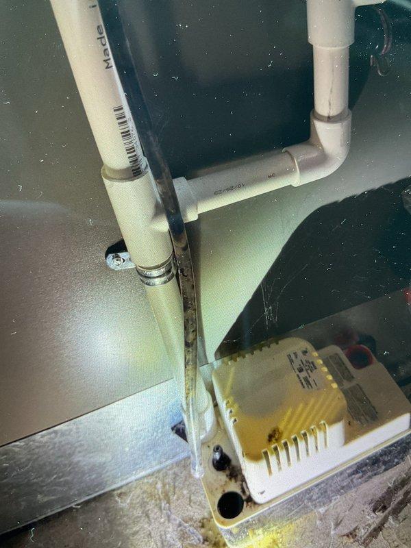 Responded to no-heat call for 2-year-old furnace under service plan. Diagnosed faulty electronic control module in condensate management system showing yellowish discoloration. Replaced damaged component and verified proper operation of heating system.