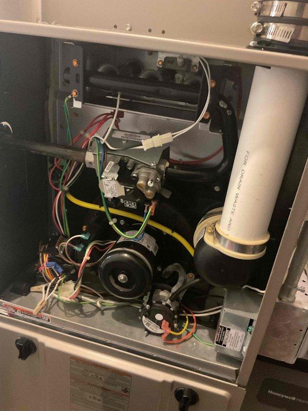 Completed Gold Furnace Inspection on 2018/2020 model furnace located in basement. Visual inspection of burner assembly confirmed proper flame pattern with consistent blue flames and normal operation. Examined blower motor, electrical connections, and ventilation components - all systems functioning within manufacturer specifications with no visible issues or maintenance concerns identified.