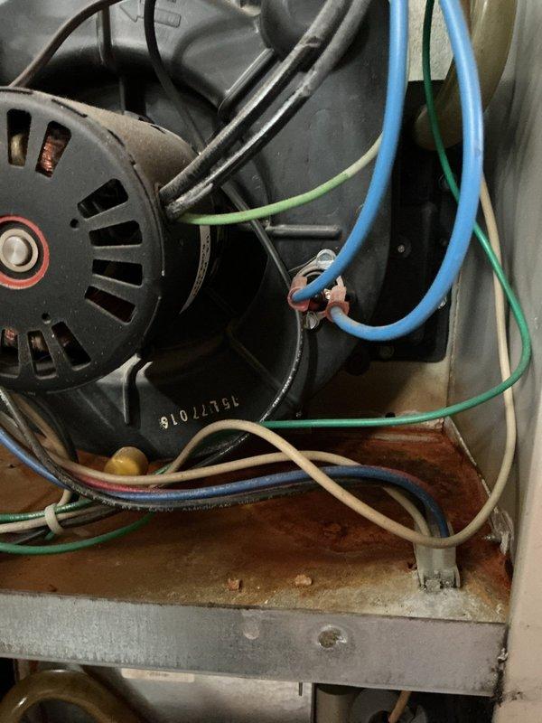 Responded to emergency furnace service call for 5-year-old unit. Inspected motor assembly showing signs of wear with visible wiring connections. Conducted combustion analysis with Testo 310, confirming O2 levels at 17.2% and CO at 4 ppm, indicating proper combustion parameters after service.