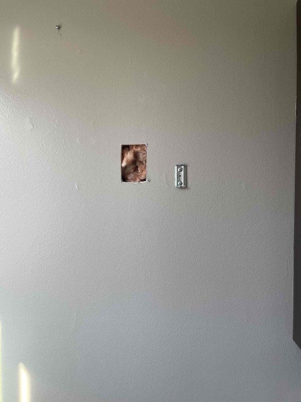 Installed a dedicated electrical outlet adjacent to toilet for bidet operation. Work involved cutting access into drywall, running appropriate electrical wiring through wall cavity, mounting new outlet box, and completing installation with proper cover plate. Verified proper voltage and functionality before completing service.