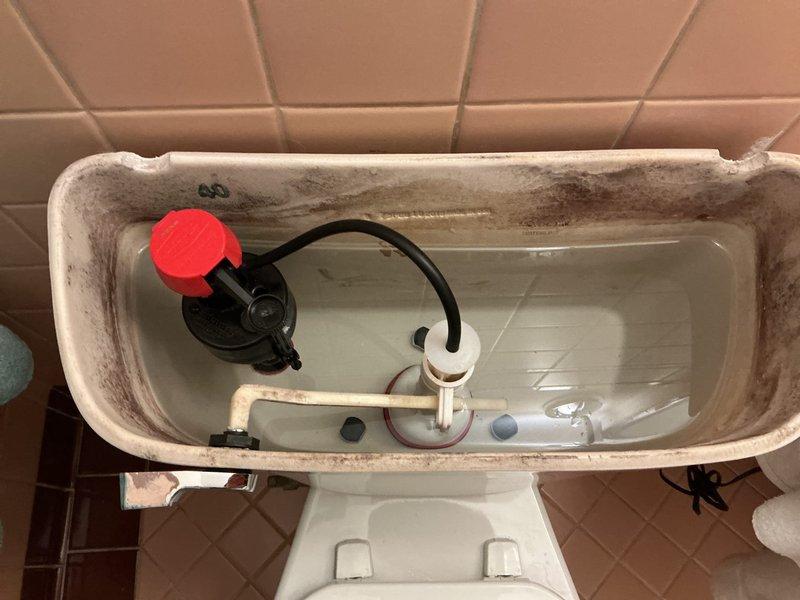Diagnosed and replaced worn internal flushing components in a 60-year-old toilet that was not flushing properly. Removed significant mineral buildup and scale from tank interior, and adjusted water level and float assembly to ensure proper flush operation and eliminate recurring issues.