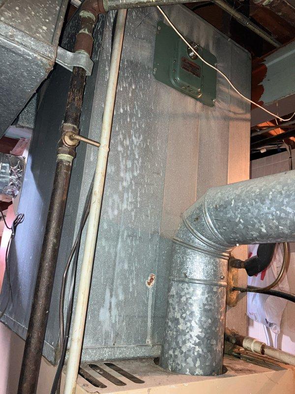 Conducted replacement estimate for 39-year-old furnace with failed ignition control module and heat exchanger. Visual inspection confirmed significant aging of existing HVAC system with visible corrosion on copper lines and dust accumulation throughout. Customer considering replacement options for furnace with potential addition of humidifier and AC components.