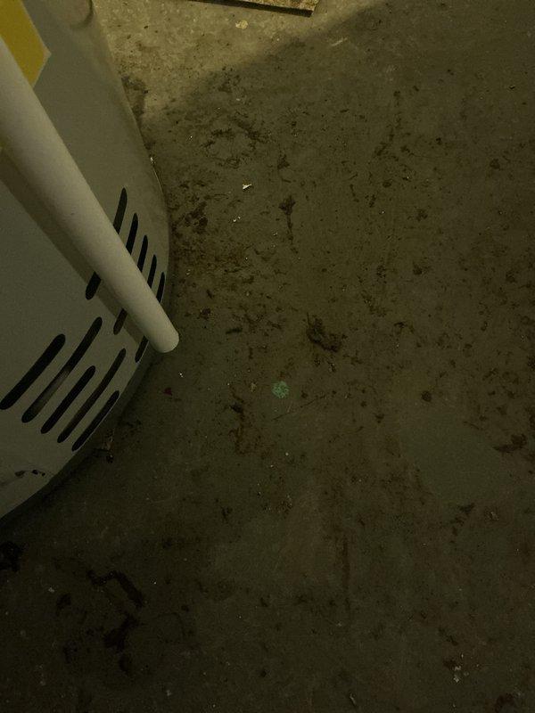 Successfully installed a 40-gallon water heater in basement utility area. Completed standard reconnection of copper supply lines, metal vent pipe with insulation, and drainage pipe. Installation includes all necessary safety components and proper ventilation per manufacturer specifications.