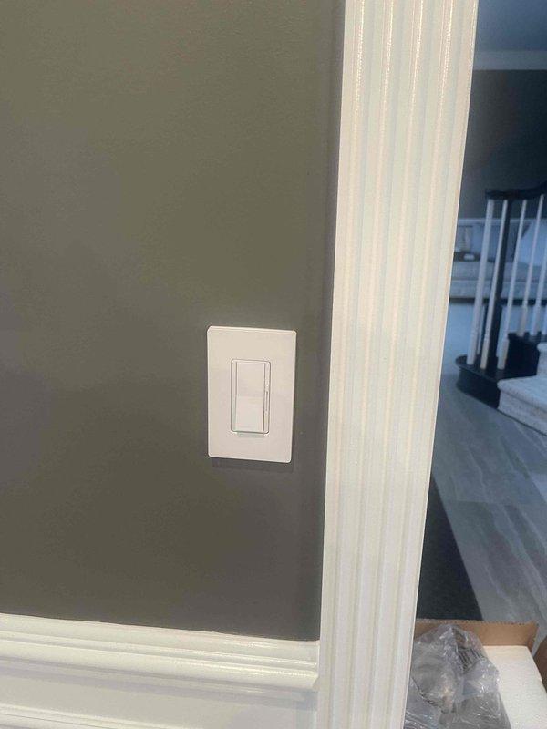 Performed consultation for electrical projects including installation of new light fixture with required electrical box and relocation of hallway outlet. Inspected existing wiring, switch placement, and ceiling fixtures to assess project scope in 10-year-old residence. Documented current lighting configuration featuring dual crystal chandeliers with decorative ceiling medallions to ensure proper replacement specifications.