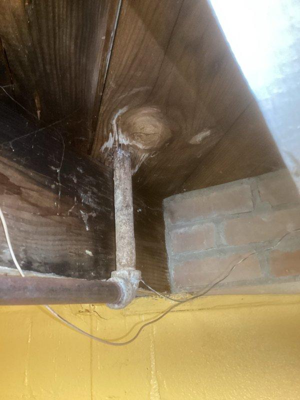 Completed Gold Boiler Inspection on 7-year-old steam boiler located in basement. Documented water damage around ceiling pipe penetration and identified potential leak issue. Equipment appears operational but recommend addressing water damage to prevent further deterioration of surrounding structural materials.