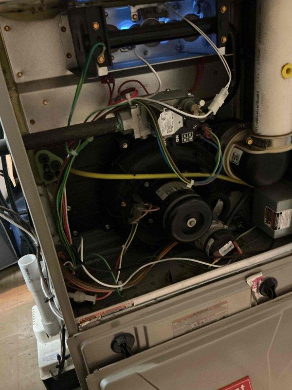 Performed Gold Furnace Inspection on unit located in basement laundry room. Inspected internal components including motor assembly, wiring connections, and valve/fitting integrity. Also examined hot water tank as requested and replaced furnace filter during service.