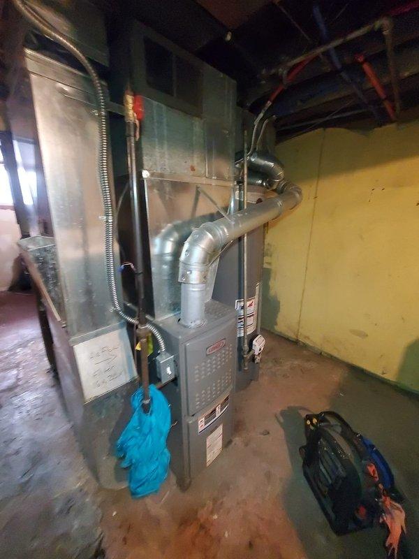 Responded to no-heat call for a 2012 furnace that was not operating. Upon inspection of the unit in the basement utility area, diagnosed and restored system functionality. Customer was an elderly homeowner with previous service history from 2014.