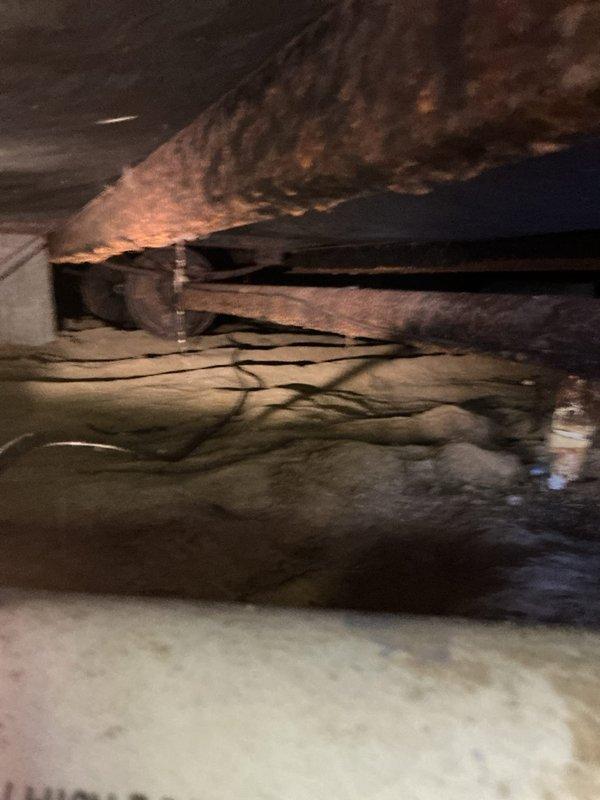 Responded to a service call for water seepage from under a walk-in shower. Inspection revealed inadequate waterproofing at the shower threshold where tile meets wooden flooring. Further investigation of the crawl space showed moisture penetration and deteriorating insulation beneath the shower area, confirming the leak source.