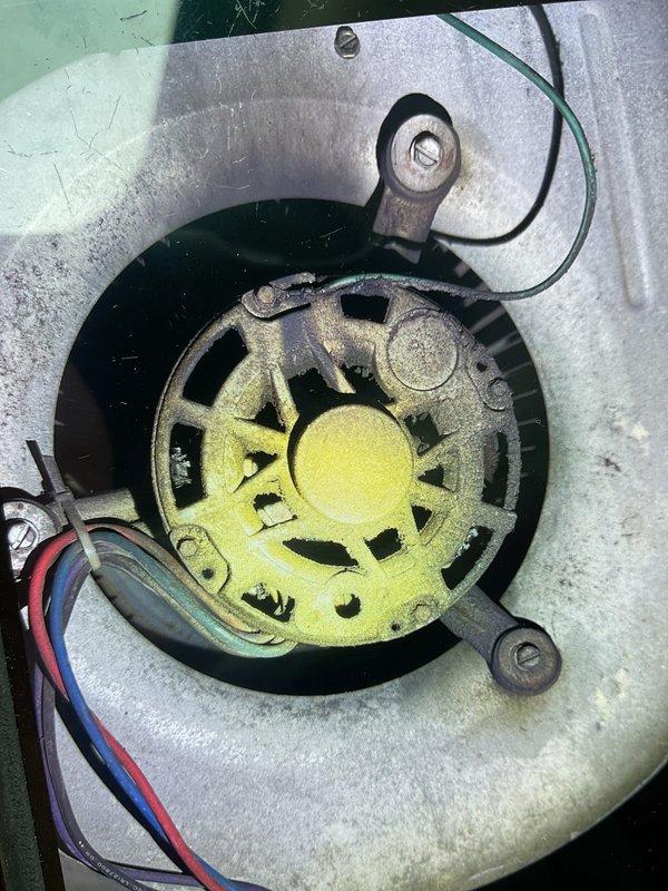 During service call for a non-operational 2-year-old Janitrol furnace, inspection revealed significant dust and mold accumulation on the blower motor assembly. Thoroughly cleaned blower wheel and housing to restore proper airflow, tested system operation, and verified heat was functioning correctly before completion.