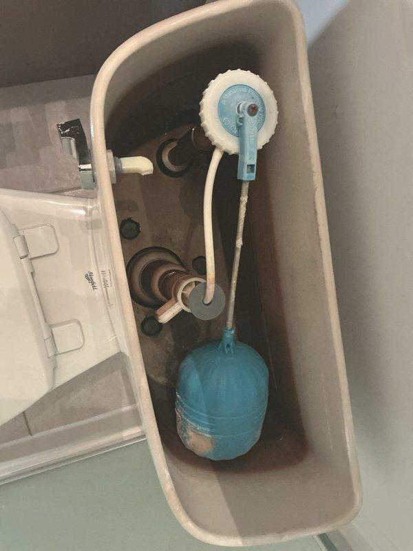 Repaired broken toilet handle (reference #59313-701-1545). Inspected tank components including float ball, flush valve assembly, and connecting mechanisms. Documented existing bathroom fixtures including sink and faucet installation for reference. All components now functioning properly.