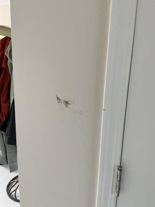 Installed new 50-gallon Bradford White water heater with proper copper and PVC connections. Completed all necessary plumbing connections including pressure relief system with brass valves. Customer renewed gold plan membership with applicable discount applied to water heater.