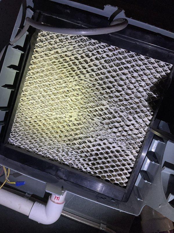 Completed Gold Furnace Inspection on 7-year-old forced air system located in basement. Inspected air filter/evaporator coil assembly, noting some discoloration indicating maintenance may be needed soon. Also observed Bradford White water heater with proper copper piping connections and ventilation components in good working condition.