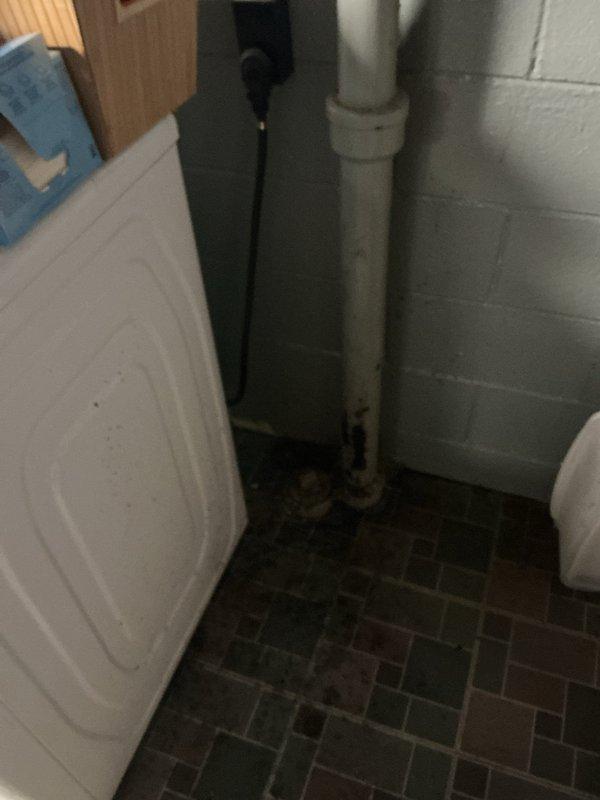 Responded to service call for clogged drainage system causing backup in shower and basement. Upon inspection, identified blockage in main drainage line affecting multiple fixtures. Successfully cleared obstruction using professional-grade equipment, restoring proper drainage function throughout the 67-year-old home.