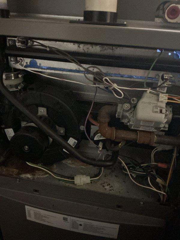 Performed comprehensive tune-up on dual HVAC system with units located in attic and basement. Inspected furnace operation, observing proper flame pattern in gas burner assembly (3 burners with consistent blue flames) and checked electrical components including blower motor assembly and wiring connections. Noted system was operational but recommended regular cleaning due to visible dust accumulation on internal components.