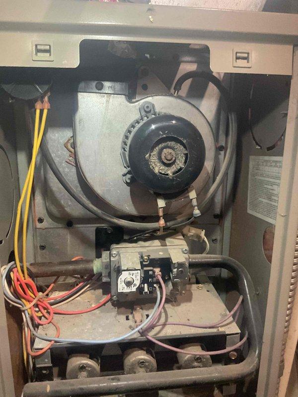 Performed routine tune-up on 10+ year old furnace located in basement. Inspection revealed significant dust accumulation on blower motor assembly and disorganized wiring connections to control board. Cleaned components, secured loose wiring, and verified proper system operation before completing service.