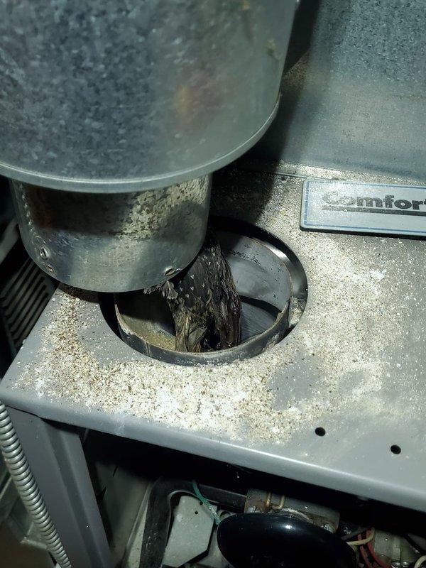 # Service Report: HVAC No Heat Call

Responded to no heat call for furnace located in basement with no power to unit. Upon inspection, diagnosed failed inducer motor preventing furnace operation. Inducer motor exhibited signs of wear and contamination with visible debris accumulation around housing and exhaust components. Verified motor failure as root cause of no heat condition. Ordered replacement inducer motor for installation. Unit will remain out of service until new motor arrives and is installed to restore proper furnace operation and heating capability.