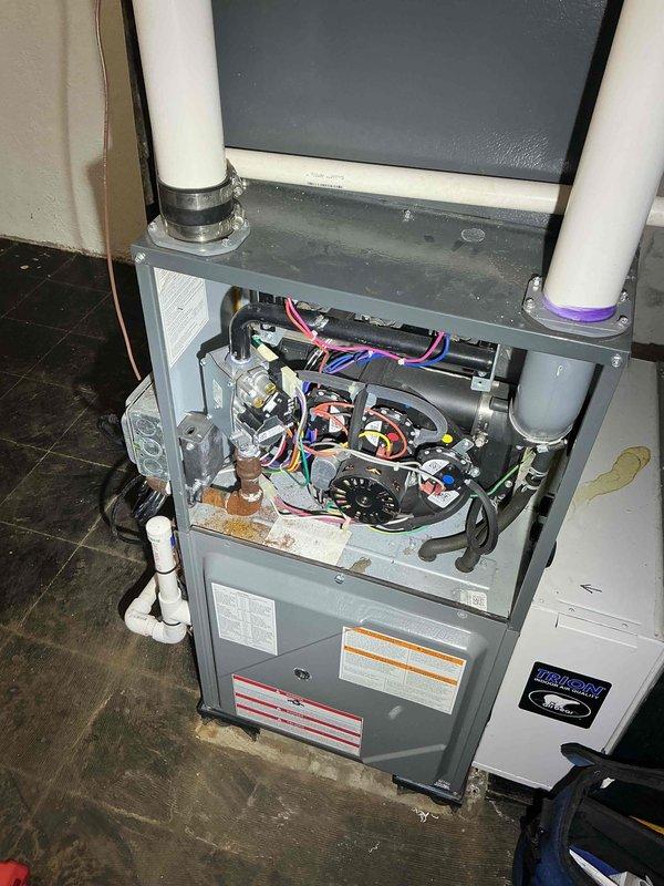 Completed comprehensive furnace tune-up and inspection on 8-year-old Heat Controller unit located in basement. Performed full system diagnostics, inspected blower motor assembly and electrical connections, verified proper operation of all components, checked venting and condensate drainage systems, and documented equipment specifications and wiring configuration. Unit operating within normal parameters with no issues found.