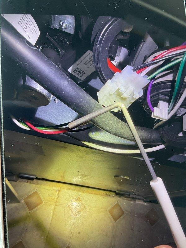 Responded to service call for 2-year-old furnace located in basement making loud noises. Performed diagnostic inspection of unit, examining control board error codes, heating ignition sequence components, and blower assembly. Inspected electrical connections, wiring harnesses, and motor assembly for loose connections or mechanical issues that could cause excessive noise during operation. Documented equipment condition with photos showing diagnostic label, internal wiring configuration, and condensate drain pan area for service records.