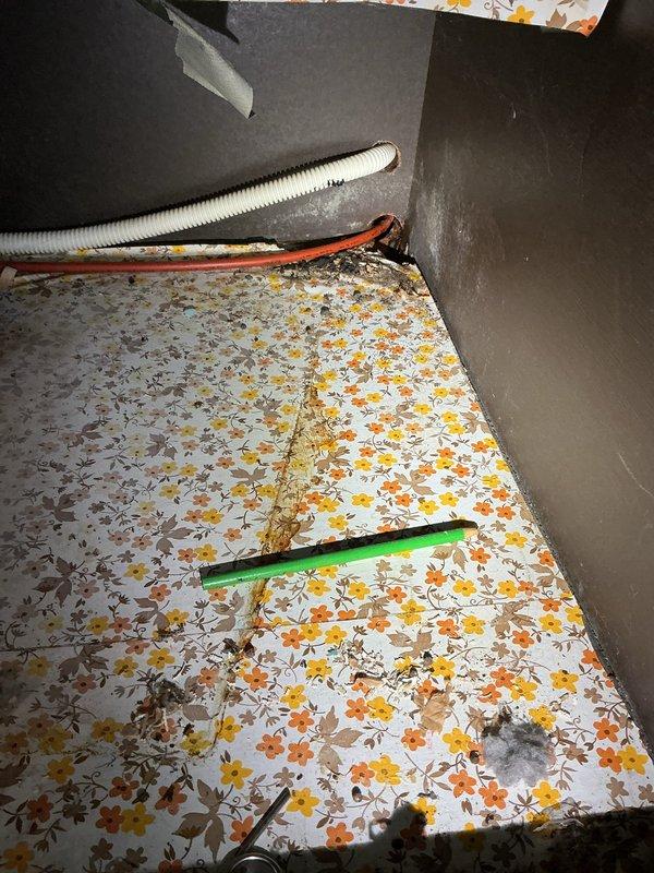 Responded to a plumbing leak originating from the kitchen sink and extending down to the laundry room area. Upon inspection, identified water damage to flooring and surrounding areas consistent with a progressive leak that had significantly worsened over recent days. Performed drain snaking service to clear blockage and address drainage issues contributing to the leak. Assessed plumbing connections and drainage system in the affected areas, documented conditions with photographic evidence showing workspace setup and equipment utilized during service. Completed necessary repairs to resolve the active leak and restore proper drainage function between the kitchen sink and laundry room in the residential property.