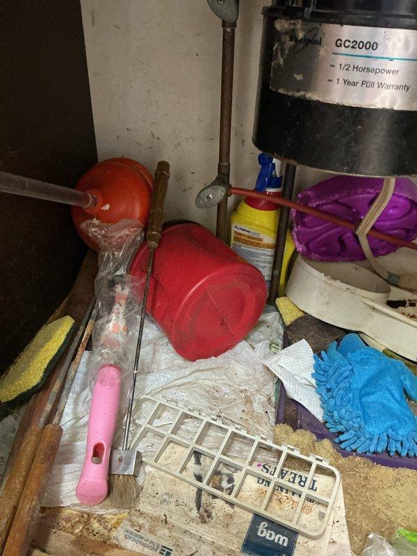 Responded to a plumbing leak originating from the kitchen sink and extending down to the laundry room area. Upon inspection, identified water damage to flooring and surrounding areas consistent with a progressive leak that had significantly worsened over recent days. Performed drain snaking service to clear blockage and address drainage issues contributing to the leak. Assessed plumbing connections and drainage system in the affected areas, documented conditions with photographic evidence showing workspace setup and equipment utilized during service. Completed necessary repairs to resolve the active leak and restore proper drainage function between the kitchen sink and laundry room in the residential property.