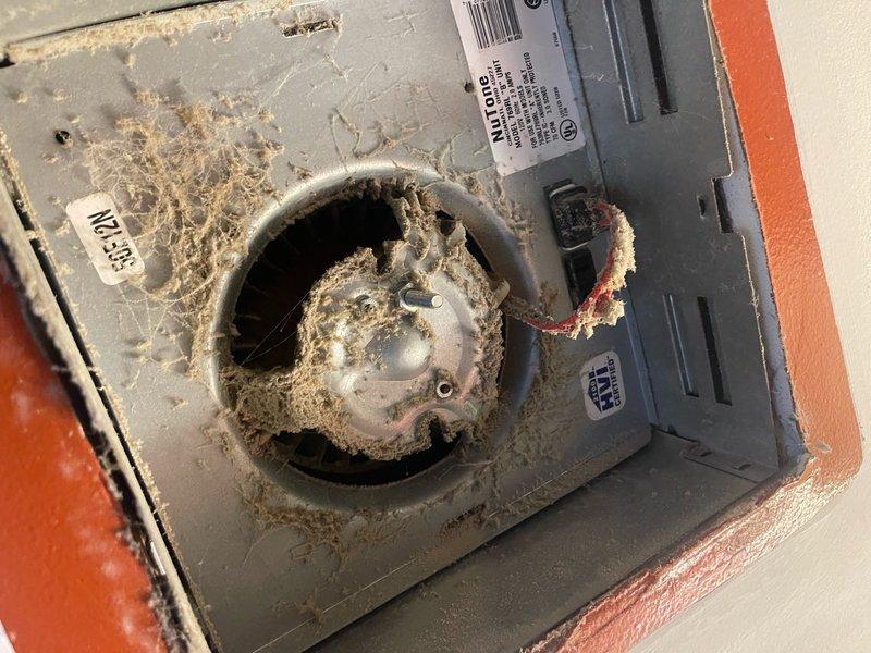 Responded to electrical service call for non-functioning bathroom light and multiple outlets inoperative following wind storm and power outage. Performed diagnostic testing using digital clamp meter to measure current and identify circuit issues. Discovered severe corrosion and deterioration on electrical outlet components and junction boxes, with heavy rust accumulation compromising connections. Inspected electrical panel revealing significant debris buildup, dust, and fibrous insulation material obstructing access points and surrounding electrical components. Addressed circuit overload conditions that previously caused breaker trips when multiple outlets were used simultaneously. Troubleshot and restored power to affected circuits throughout the residence.