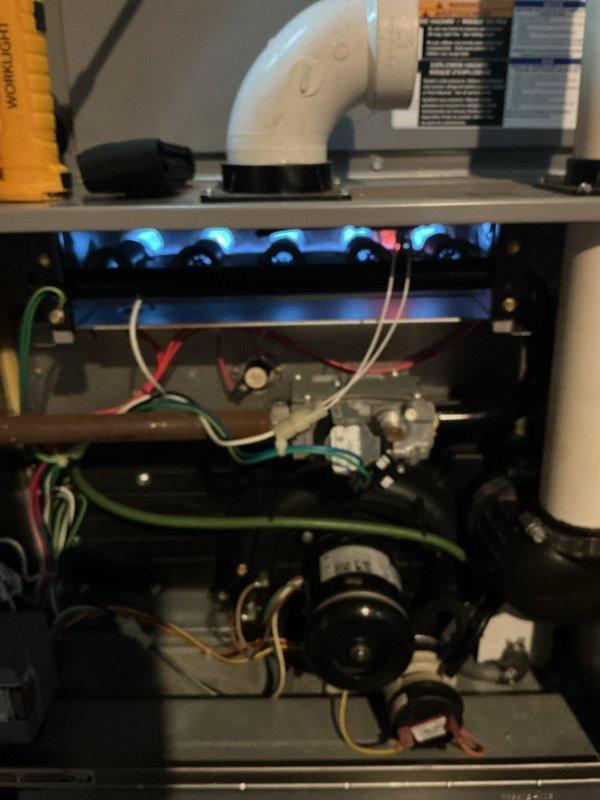 Performed complimentary furnace inspection on Tempstar unit located in basement mechanical room. Inspected humidifier feed tube orifice as requested and identified leaking water pump on 10-year-old humidifier assembly. System remains operational with heating and cooling functions unaffected. Documented equipment condition with photos showing active burner operation and internal components. Recommended humidifier pump replacement to prevent further water leakage.