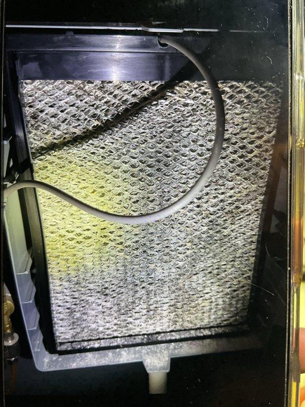 Completed comprehensive Gold furnace inspection on 5-year-old forced air heating system located in basement. Verified unit operational status with proper ignition sequence and burner flame characteristics showing consistent blue flames across all burner ports. Inspected combustion chamber components, heat exchanger, and internal wiring connections for safety and proper operation. Evaluated air filter condition, noting dust accumulation and debris buildup requiring attention for optimal airflow and system efficiency. All safety controls and operational parameters checked and confirmed within normal specifications.