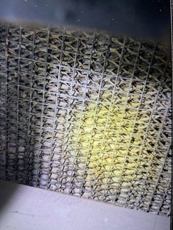 Completed preventative maintenance tune-up on a 2-3 year old furnace system located in basement. Performed comprehensive inspection of heating equipment, including examination of heat exchanger, burner assembly, and evaporator coil. Inspected and verified proper operation of all system components, checked air filter condition, and assessed overall system performance. All components found to be functioning within normal parameters with no immediate service needs identified.