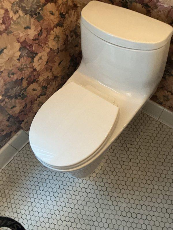 Completed toilet replacement in residential bathroom. Removed existing fixture and installed new one-piece toilet unit supplied by customer. Ensured proper sealing, secure mounting to hexagonal tile floor, and verified all connections for proper operation and leak-free performance.