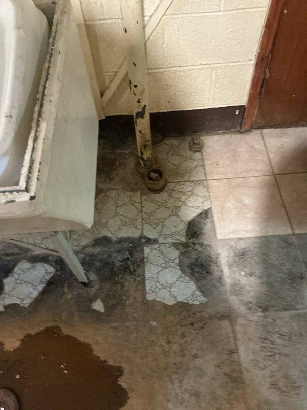 # Plumbing Service - Clogged Drain/Sink

Responded to a main drain backup issue affecting the kitchen drainage system. Upon arrival, found the main drain line was experiencing blockage causing water to back up when kitchen fixtures were in use, while bathroom drains remained functional. Inspection revealed significant water damage on the basement floor with standing water and staining patterns indicating recent overflow events.

Located the main drain cleanout access point in the basement utility area near the plumbing assembly. Assessed the drainage system configuration including vertical stack pipes and horizontal drain lines. Utilized drain cleaning equipment to clear the obstruction in the main line. Successfully restored proper drainage flow to the kitchen plumbing system. Verified clearance by running water through kitchen fixtures and confirming no backup occurred. Advised on the existing water damage conditions observed in the basement and recommended monitoring for future drai