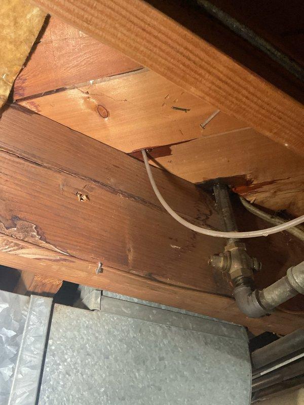 Responded to water leak in basement. Upon inspection, located leak source in plumbing system near floor joists. Identified compromised brass pipe fittings and connections in overhead plumbing infrastructure. Assessed structural framing and surrounding areas for water damage. Documented existing plumbing configuration including flexible supply lines and galvanized metal piping runs. Evaluated condition of exposed joists and insulation for moisture intrusion. Provided diagnostic assessment and recommendations for necessary repairs to resolve active leak condition.