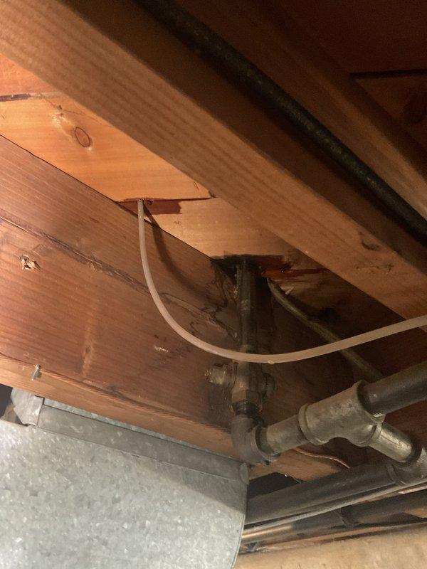 Responded to water leak in basement. Upon inspection, located leak source in plumbing system near floor joists. Identified compromised brass pipe fittings and connections in overhead plumbing infrastructure. Assessed structural framing and surrounding areas for water damage. Documented existing plumbing configuration including flexible supply lines and galvanized metal piping runs. Evaluated condition of exposed joists and insulation for moisture intrusion. Provided diagnostic assessment and recommendations for necessary repairs to resolve active leak condition.