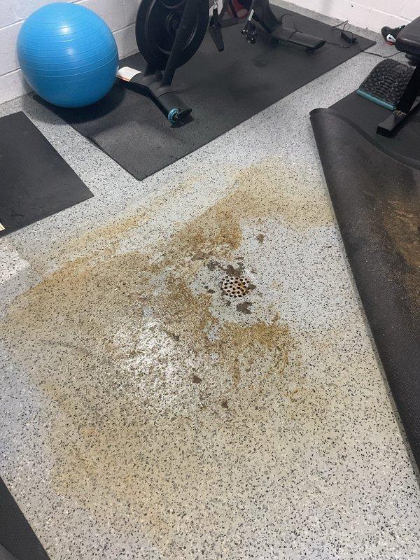 Responded to basement drainage emergency where rainwater was backing up through floor drain and pooling on surface. Upon inspection, located affected floor drain in basement workout area with visible water staining and standing water on terrazzo flooring. Assessed drainage system for blockage, performed diagnostic evaluation of main line connection, and cleared obstruction preventing proper water flow. Verified drain functionality and confirmed water now flowing freely through system without backup.