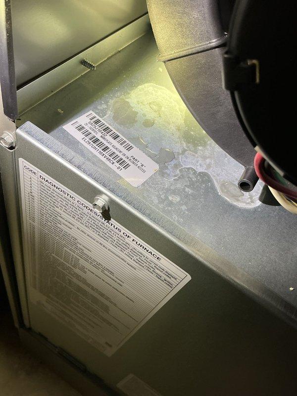 Responded to City of Rochester Hills mechanical violation notice addressing three critical issues with HVAC system. Repaired internal furnace leak with visible water accumulation on unit housing, installed required hammer arrestor on humidifier water line to code specifications, and replaced leaking humidifier shut-off valve with new component. All plumbing connections tested and verified leak-free, system returned to proper operation and brought into compliance with municipal mechanical code requirements.