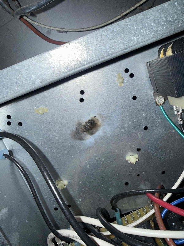 Responded to no heat call on basement furnace over 10 years old with inoperative blower fan. Upon inspection, diagnosed failed control board preventing blower motor operation. Identified visible heat damage and discoloration on primary circuit board, along with compromised electrical connections at terminal block. Removed and replaced defective control board assembly, reconnected all low-voltage wiring and line voltage connections to new board, and verified proper wire routing and secure terminations. Tested system operation through full heating cycle, confirmed blower motor engagement, verified proper airflow, and ensured all safety controls functioning correctly. Unit restored to normal heating operation with adequate temperature rise across heat exchanger.