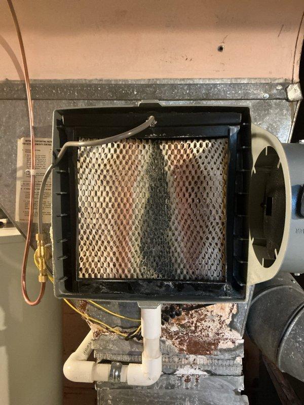 Completed comprehensive Gold-level furnace and air conditioning inspection on 10+ year old system located in basement. Performed combustion analysis using Testo 310 analyzer to verify safe operation and efficiency levels. Documented heavily soiled air filter with significant dust and debris accumulation requiring replacement, inspected condensate drain assembly and refrigerant lines, and verified all system components for proper operation and safety compliance.