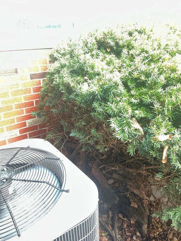 Completed comprehensive AC tune-up and inspection on 20-year-old outdoor condensing unit. Performed standard maintenance protocol including system performance evaluation, electrical testing, refrigerant level assessment, and condenser coil inspection. Noted vegetation encroachment requiring clearance and debris accumulation around unit base that may restrict airflow; customer advised of recommended clearance maintenance for optimal system efficiency and longevity.