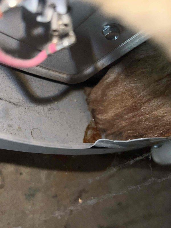 Responded to water leak call at residential property with water accumulation on top of water heater in basement. Performed diagnostic inspection of State ProLine water heater (10+ years old) and surrounding plumbing connections. Visual examination revealed corrosion and deteriorated material accumulation on mounting hardware and metal components, indicating long-term moisture exposure and potential leak source at pipe connections or fittings.