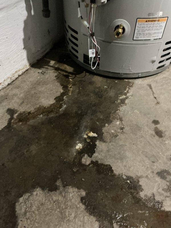 Completed warranty installation of a 50-gallon standard tanked water heater in basement utility area. Replaced existing unit, connected supply and discharge piping to new tank, verified proper venting configuration, and tested all connections for leaks. Unit operational and functioning within manufacturer specifications upon completion.