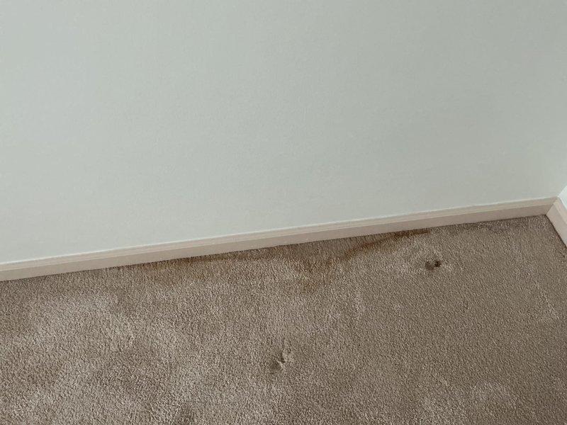 Responded to water leak originating from shower area and penetrating into adjacent bedroom. Upon inspection, identified active water intrusion affecting ceiling or wall cavity between tiled shower enclosure and daughter's bedroom. Documented conditions of modern herringbone-patterned tile shower with pebble floor mosaic and visible water damage evidence in carpeted bedroom area including moisture staining at wall-floor junction. Assessed leak source and provided recommendations for repair of compromised waterproofing membrane or plumbing fixture connection to prevent further water migration into living space.