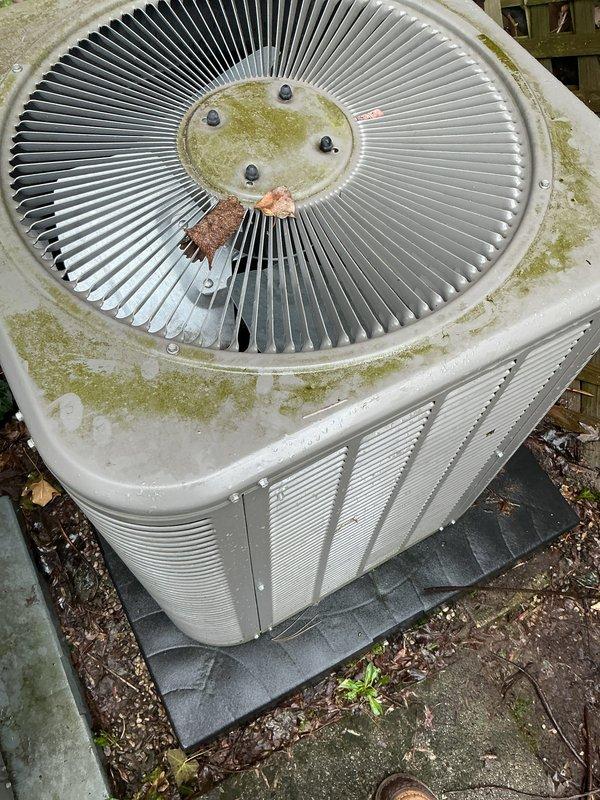 Completed comprehensive Gold AC Inspection on dual-zone residential cooling system including newer attic-mounted upstairs unit (2 years old) and older outdoor downstairs condenser unit. Performed full system diagnostics, refrigerant level verification, electrical component testing, and airflow measurements on both units. Outdoor condenser exhibited significant biological growth with moss and algae accumulation on fan cover, housing louvers, and upper surfaces due to extended exposure and deferred maintenance. Cleaned condenser coils, removed organic debris, treated biological growth, and restored proper airflow capacity. Inspected and cleaned condensate drain lines, verified thermostat calibration, tested capacitors and contactors, measured amp draw on compressor and fan motors, and confirmed proper cycling on both systems. All components operating within manufacturer specifications following maintenance procedures. Recommended ongoing seasonal maintenance to prevent future biological 