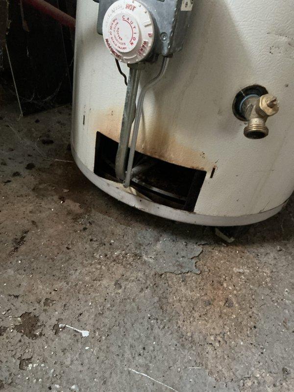 Completed preventive maintenance tune-up on basement-located furnace as first priority call. Performed comprehensive inspection of heating system, verified unit operational status, and documented existing conditions including aging insulated plumbing infrastructure and water heater in mechanical space. All components inspected and system confirmed functioning properly at time of service.