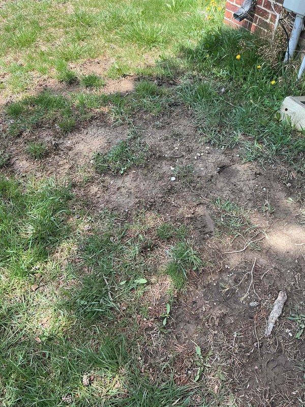 Completed installation of 2-ton air conditioning system with new evaporator coil in rear-located outdoor unit. Installed new AC condenser and indoor coil assembly, connecting to existing furnace in basement mechanical room. Reconnected all electrical components per code requirements. Mechanical and electrical permits were obtained prior to installation. System was fully charged, tested for proper operation, and verified for optimal airflow and refrigerant levels. All ductwork connections were secured and sealed. Unit is operational and cooling efficiently.